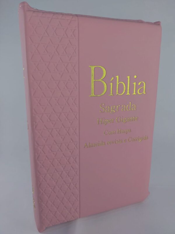Bíblia Sagrada Hipergigante - Rosa
