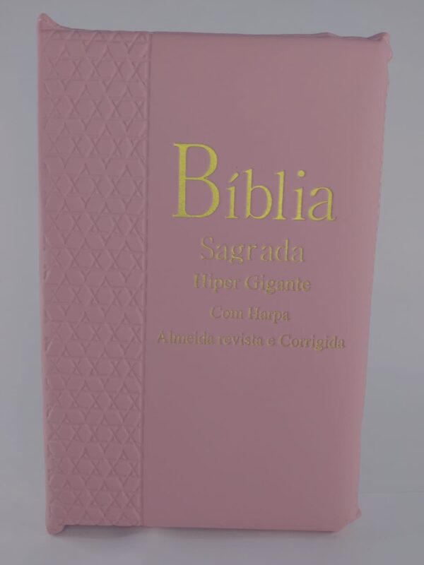 Bíblia Sagrada Hipergigante - Rosa