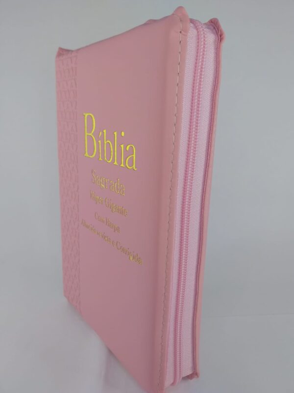 Bíblia Sagrada Hipergigante - Rosa