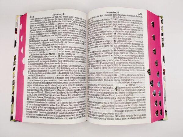 Bíblia Sagrada Letra Hipergigante Capa Dura Rosas