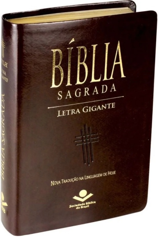 Bíblia Sagrada Nova Tradução na Linguagem de Hoje NTLH Marrom SBB