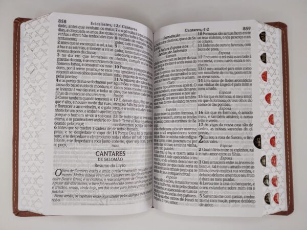 Bíblia Sagrada com Harpa Avivada e Corinhos – Caramelo