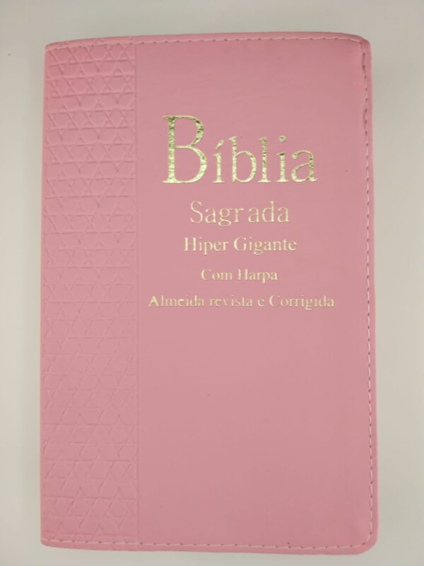 Bíblia Sagrada com Harpa Avivada e Corinhos – Rosa Sem Zíper